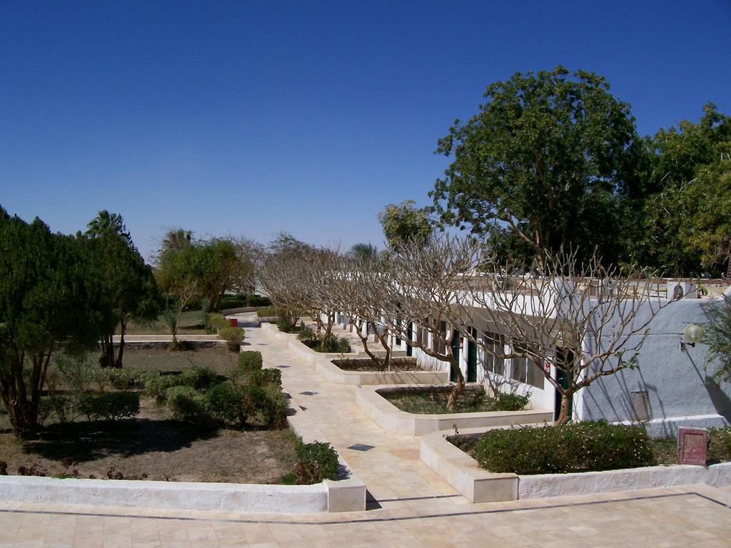 Nefertari Hotel Abu Simble Abu Simbel Buitenkant foto
