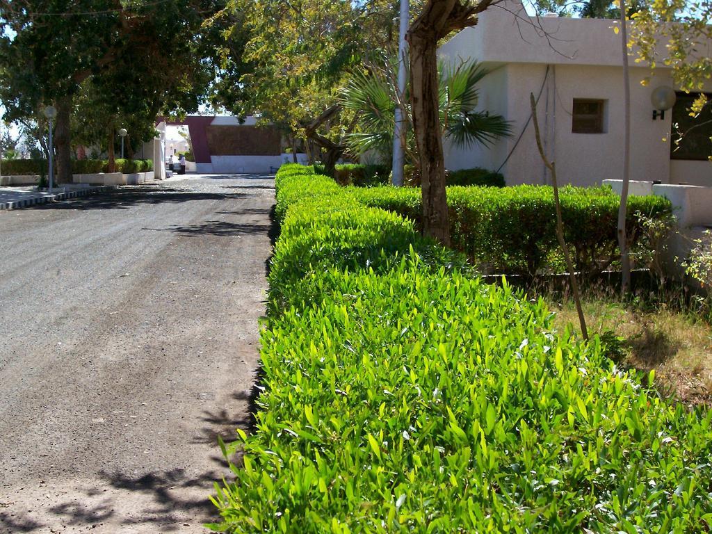 Nefertari Hotel Abu Simble Abu Simbel Buitenkant foto