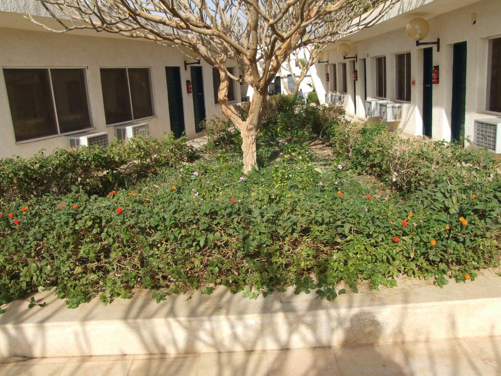 Nefertari Hotel Abu Simble Abu Simbel Buitenkant foto